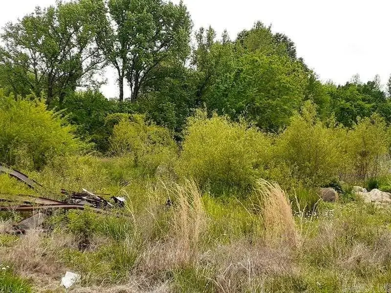 919 Ridge Road, El Paso, AR 72045 - #1