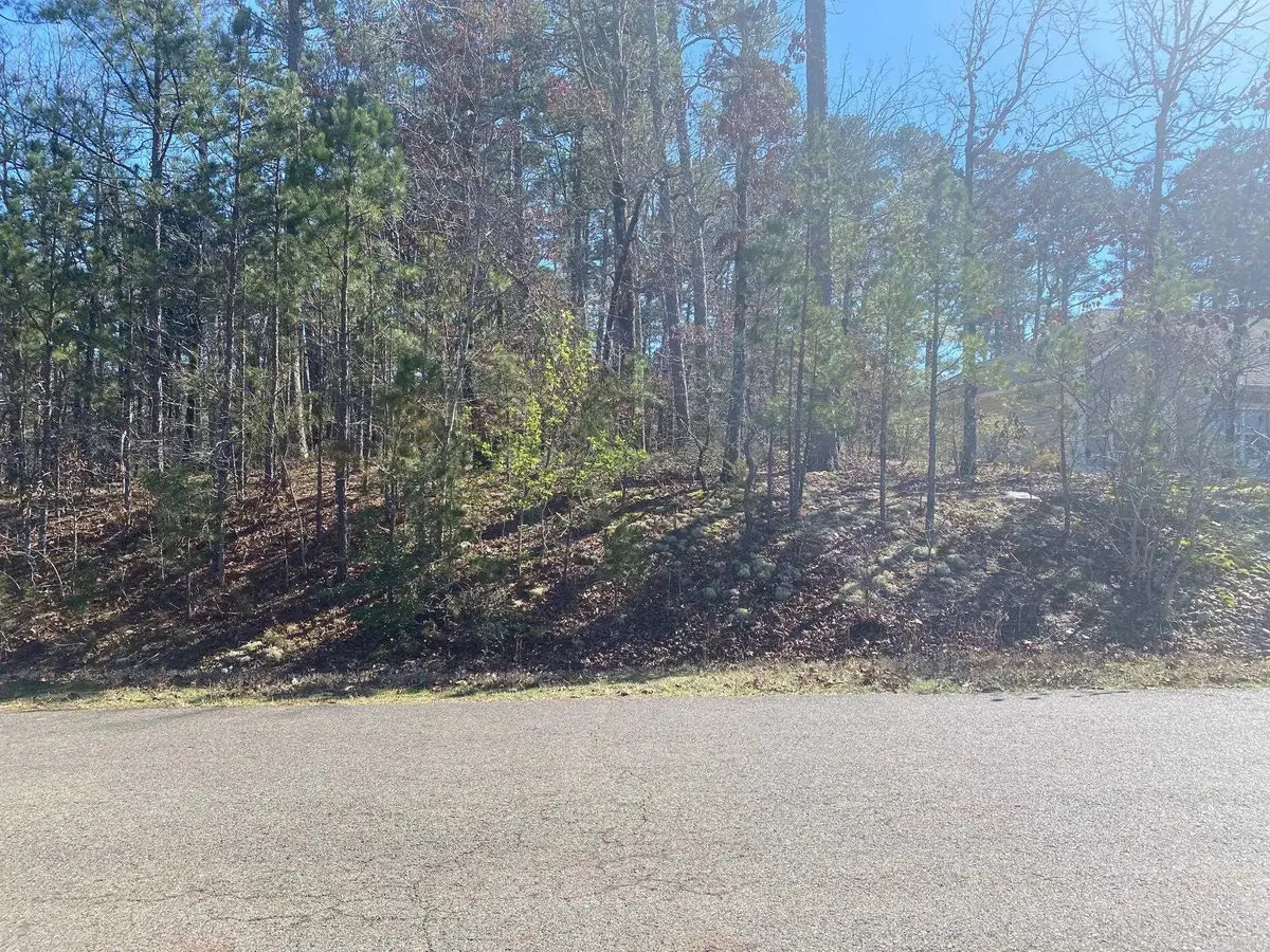 10 Telon Lane, Hot Springs Village, AR 71909 - #1