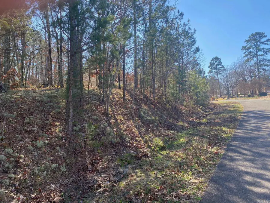 10 Telon Lane, Hot Springs Village, AR 71909 - #3