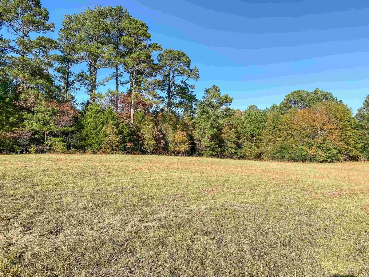 3109 Sunshine Road, Royal, AR 71968 - #1