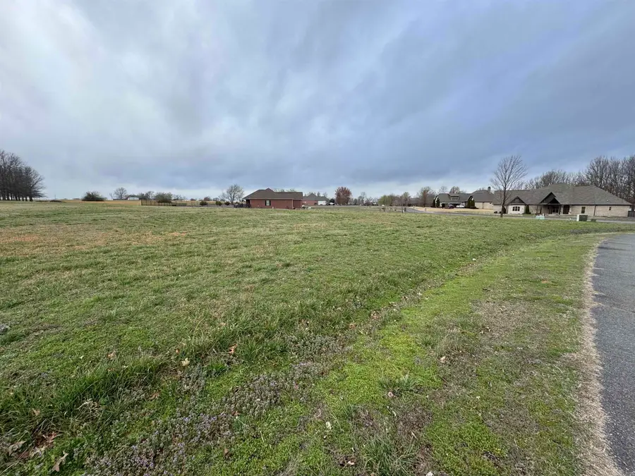 23 Win Meadow Ln., Greenbrier, AR 72058 - #2