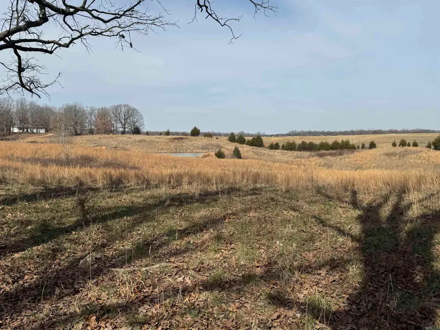 0 Cr 472, Piggott, AR 72454 - #2