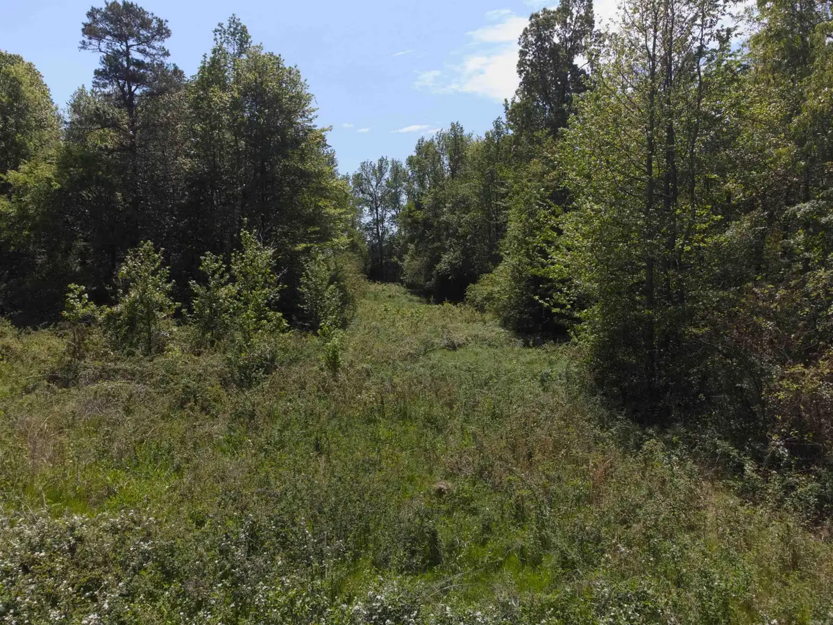 10 Acres off Turner Road, Rose Bud, AR 72137 - #1