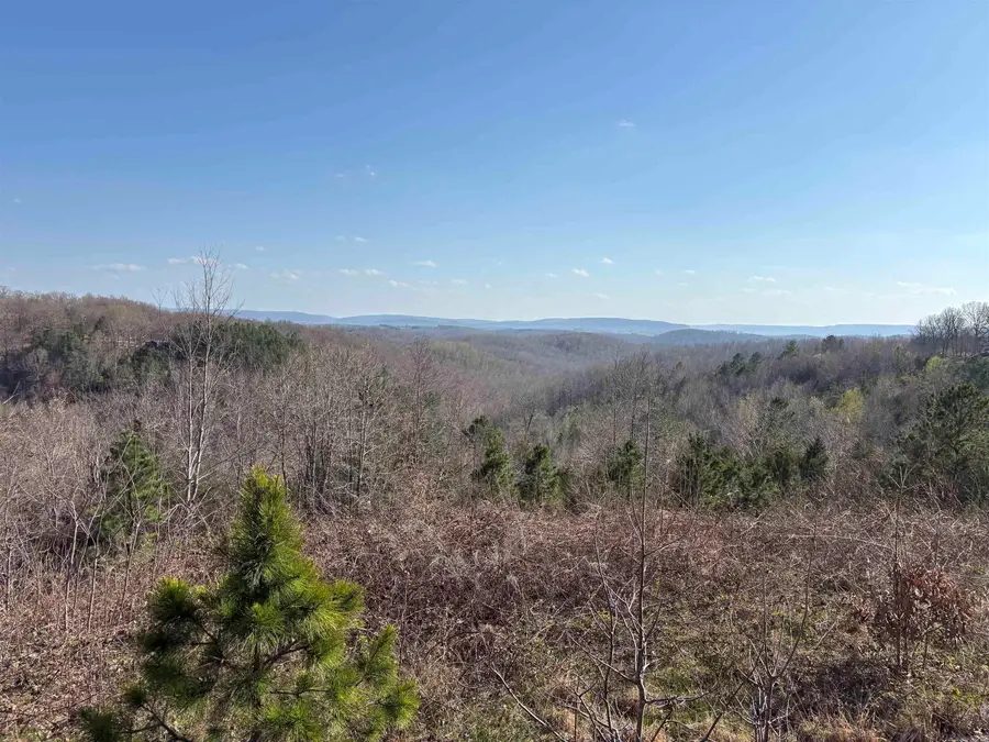 000 Fawn Road, Harriet, AR 72639 - #3