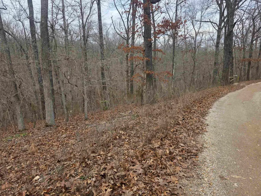 6 Lots S Summit Ridge Drive, Ozark Acres, AR 72482 - #2
