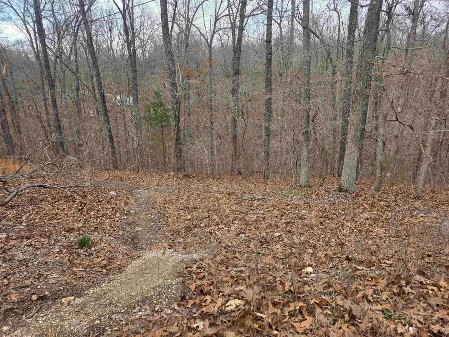 6 Lots S Summit Ridge Drive, Ozark Acres, AR 72482 - #3
