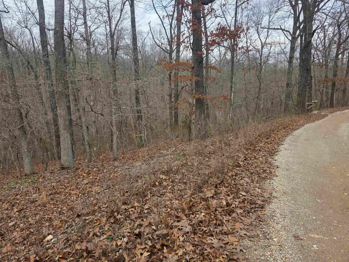 L4 B2 Bald Eagle Trail, Ozark Acres, AR 72482 - #1