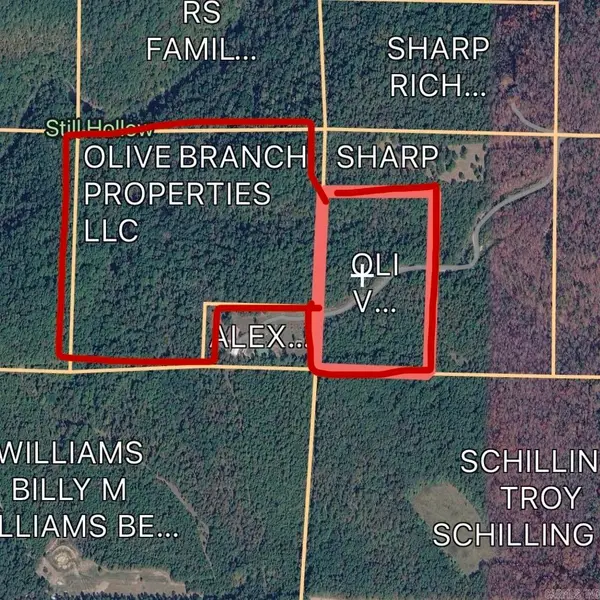 839 Bullard Rd., Concord, AR 72523