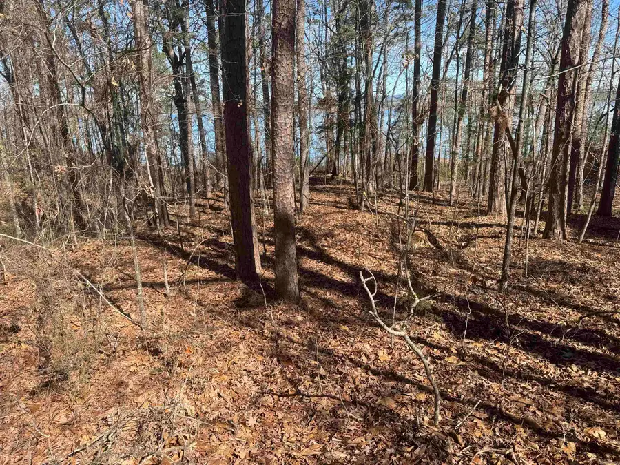 Lot 1 Kings Place, Quitman, AR 72131 - #3