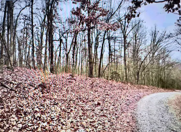 151-157 Seminole Drive, Hardy, AR 72542