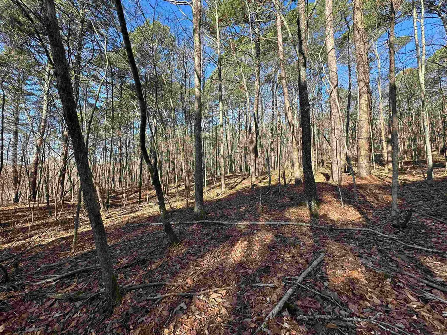 000 Bear Mountain Road, Prim, AR 72130 - #2