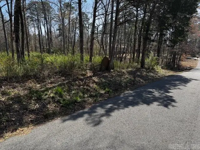 Lot 54 Silagy, Greers Ferry, AR 72067 - #2