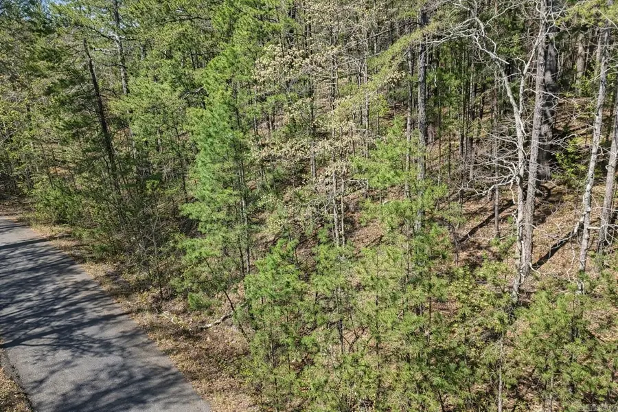 6 Fenix Way, Hot Springs Village, AR 71909 - #2