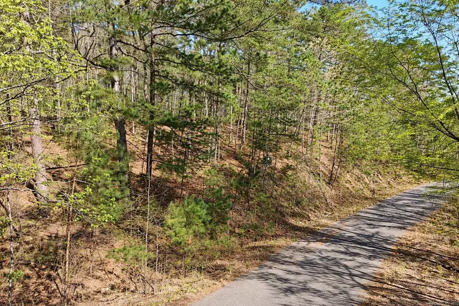 6 Fenix Way, Hot Springs Village, AR 71909 - #3