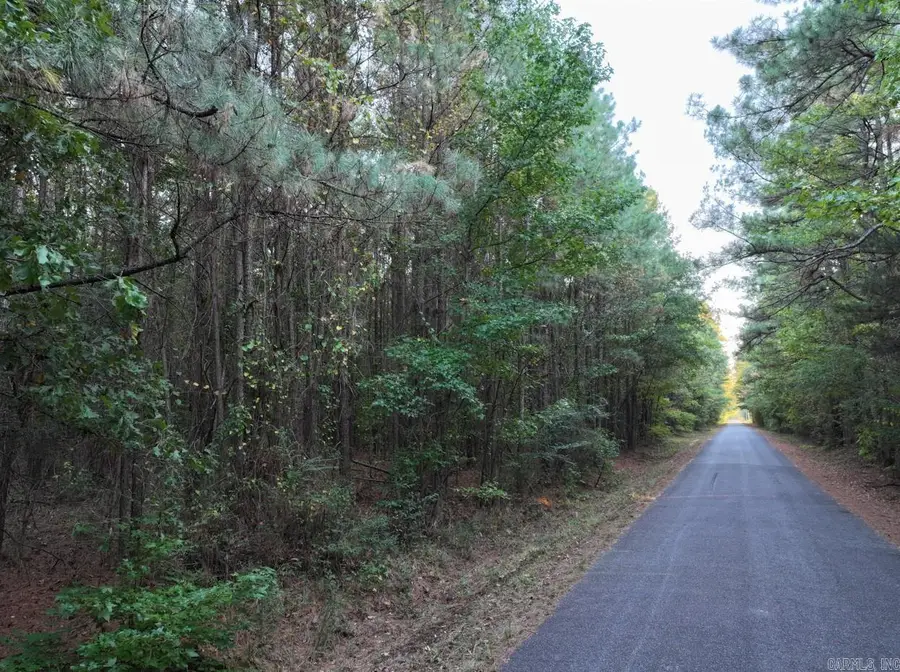 2700 Grant County Rd 36, Prattsville, AR 72129 - #2