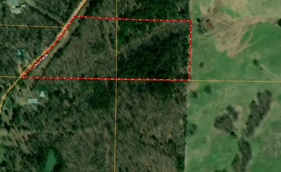 8 Red Lamb Road, Melbourne, AR 72556 - #2