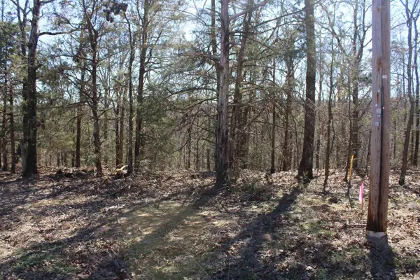 Lot 20 Kelly Court, Cabot, AR 72023