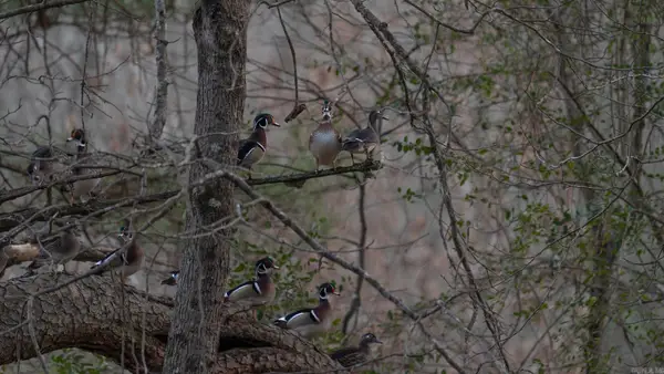 Address Withheld By Seller, Texarkana, AR 71854