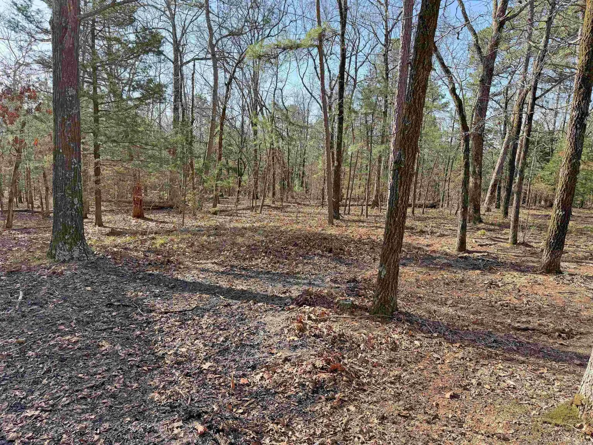 000 Arrowhead Ln., Mountain View, AR 72560 - #1