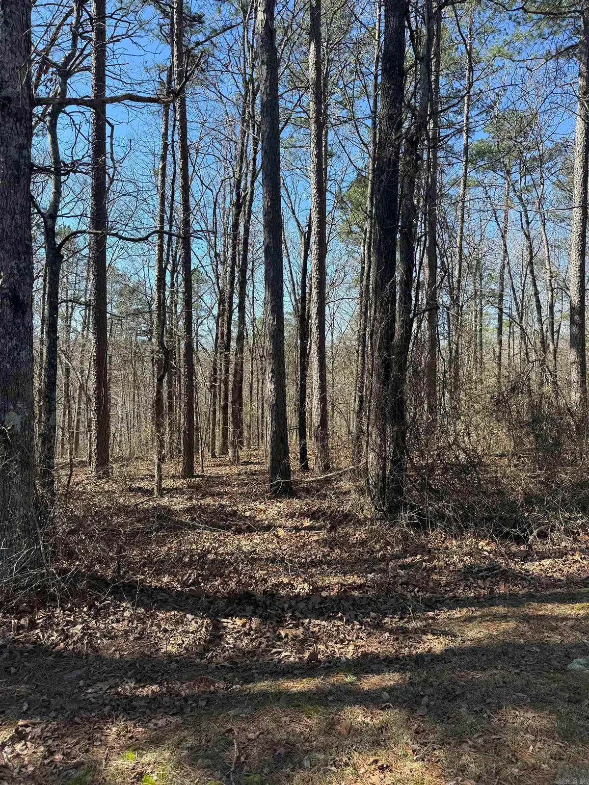 000 Oyler Road, Clinton, AR 72031 - #1