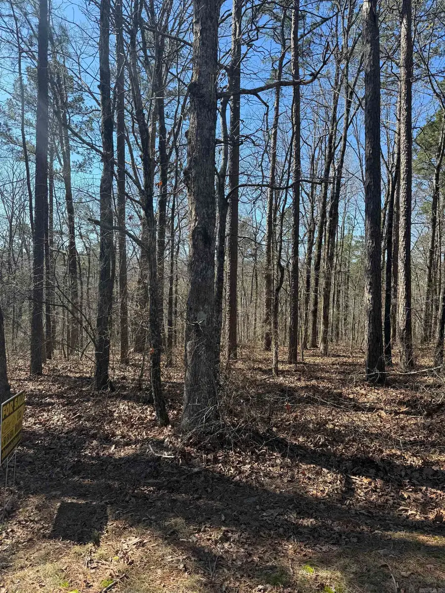 000 Oyler Road, Clinton, AR 72031 - #3