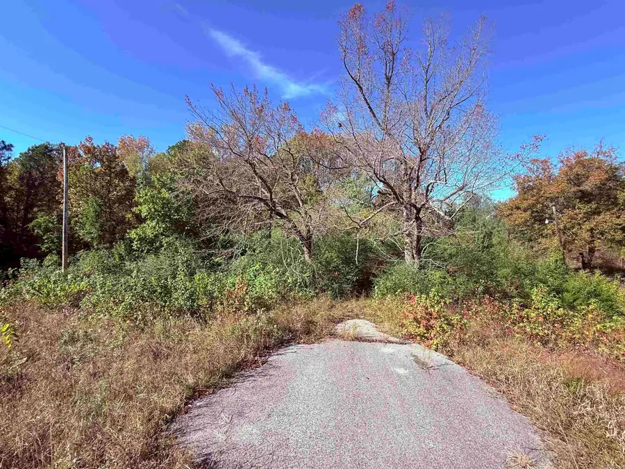 101 Indian Trail, Bald Knob, AR 72010 - #2