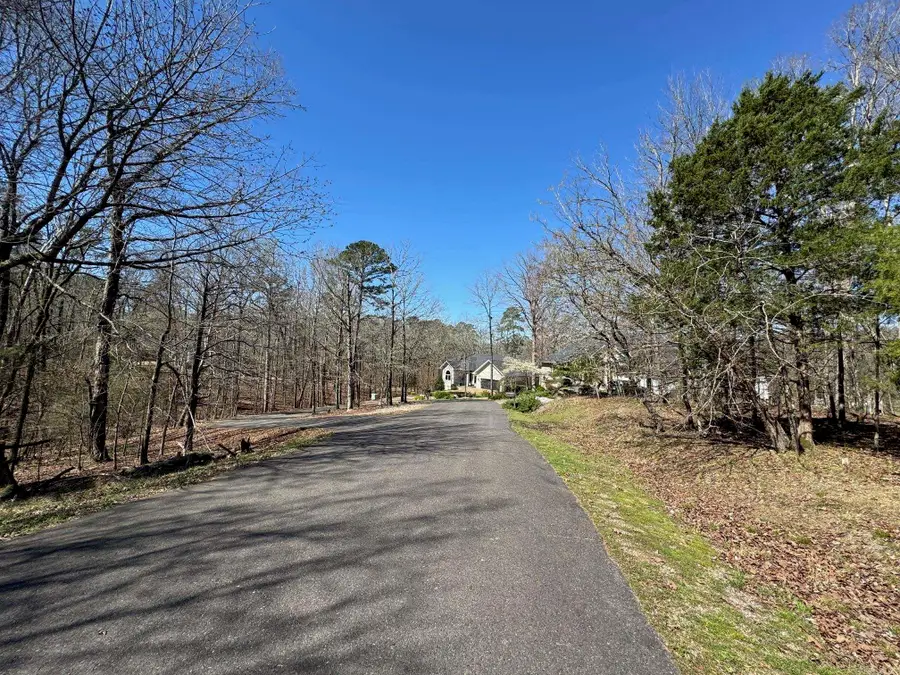 10 Princesa Place, Hot Springs Village, AR 71909 - #3