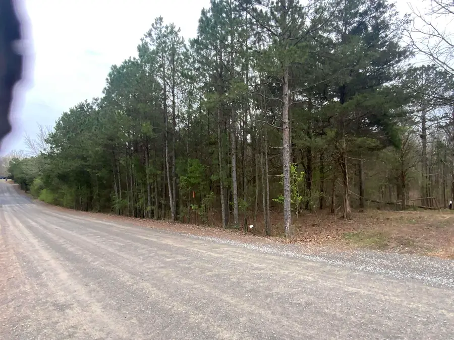 327 Pine Timber Lane, Bradley, AR 72039 - #3