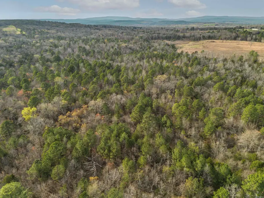 00 Hwy 95, Cleveland, AR 72030 - #2