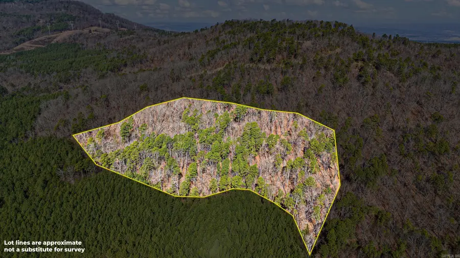 Pool Hollow Road, Dardanelle, AR 72834 - #2