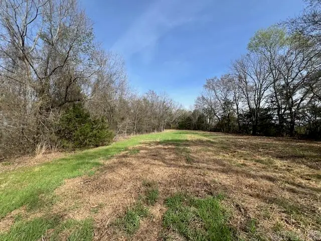 36 (approx) Bayou Road, Vilonia, AR 72173 - #3