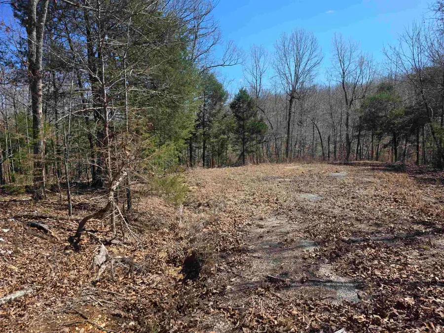 L28 B3 Gheetowaga Drive, Cherokee Village, AR 72529 - #3