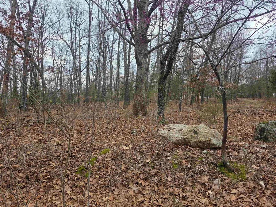 L30 B11 Pahokee Drive, Cherokee Village, AR 72529 - #3