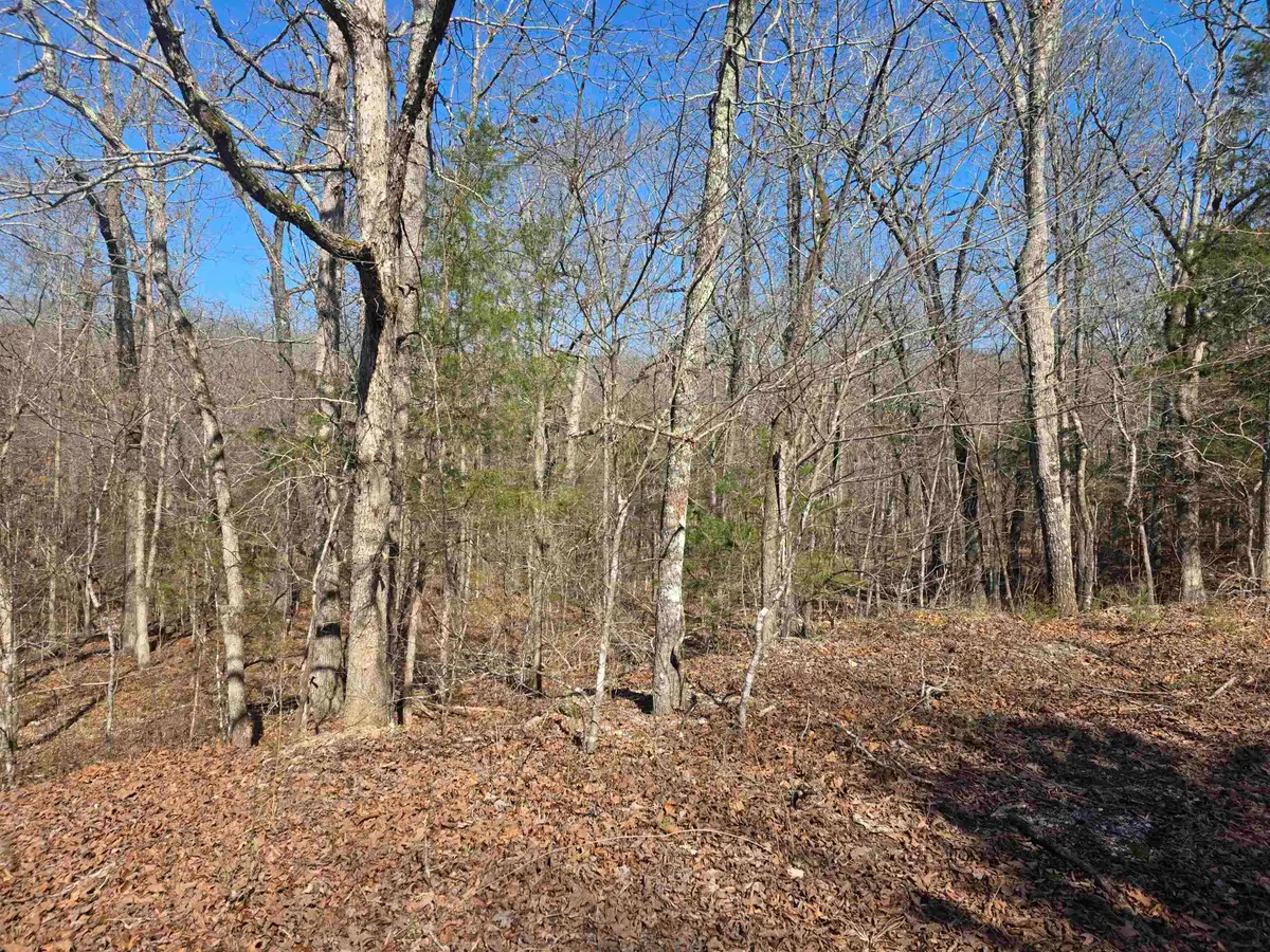 L44 B9 Pahokee Drive, Cherokee Village, AR 72529 - #1