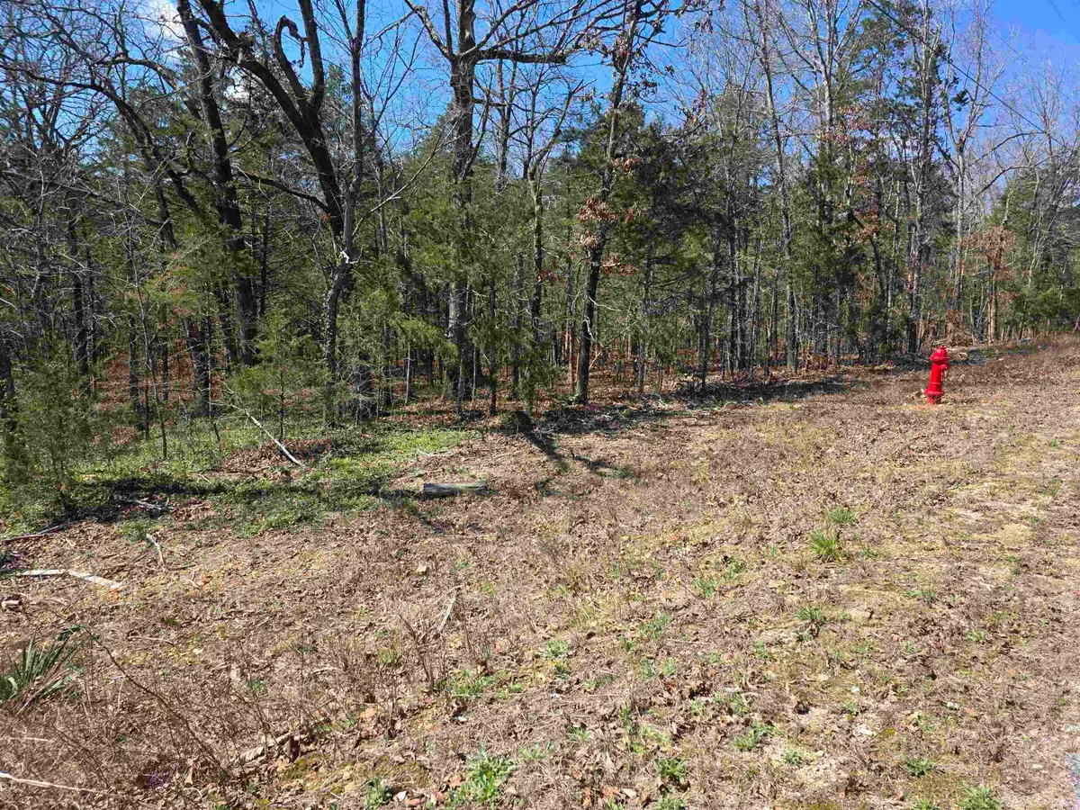L32 B19 Katta Drive, Cherokee Village, AR 72529 - #1