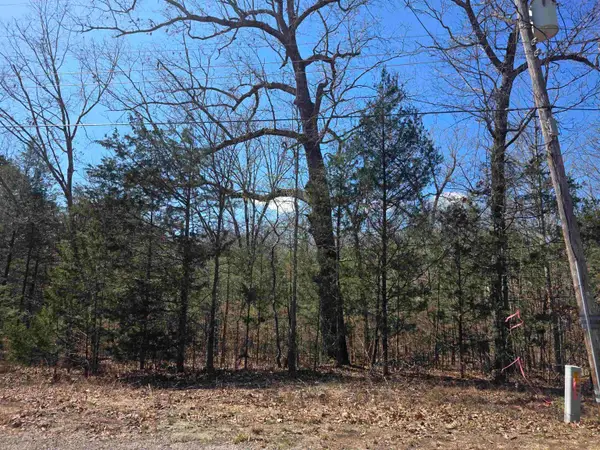 L29 B19 Katta Drive, Cherokee Village, AR 72529