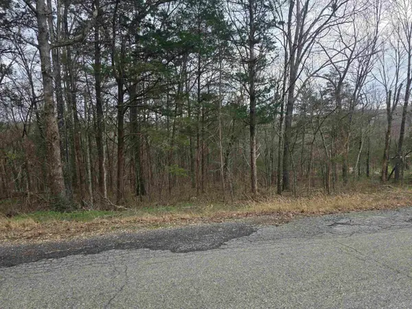 L9 B3 Mineola Drive, Cherokee Village, AR 72529