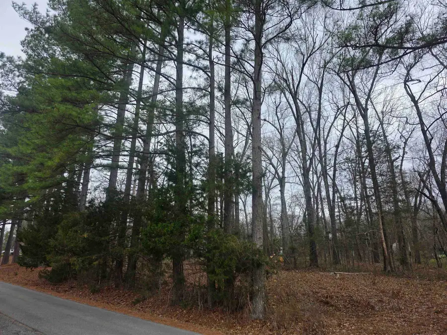 23 lots Cherokee Village & Ozark Acres, Cherokee Village, AR 72529 - #3