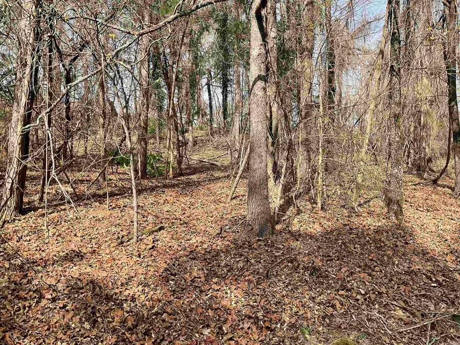 950 Rock Ledge Road, Heber Springs, AR 72543 - #3