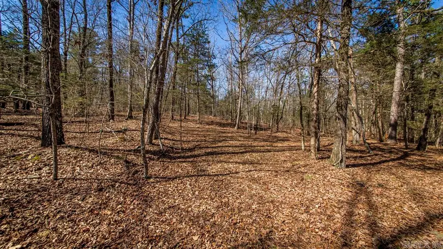 0 Whipporwill Lane, Choctaw, AR 72031 - #2