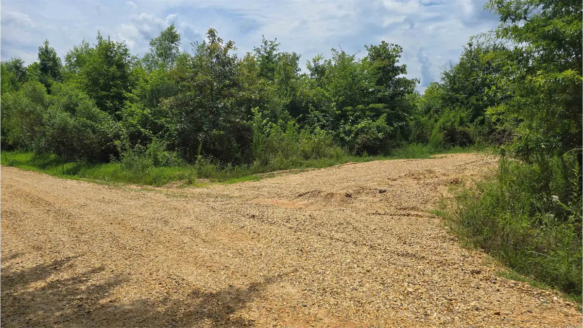 159 Ellison Road, Rison, AR 71665 - #1