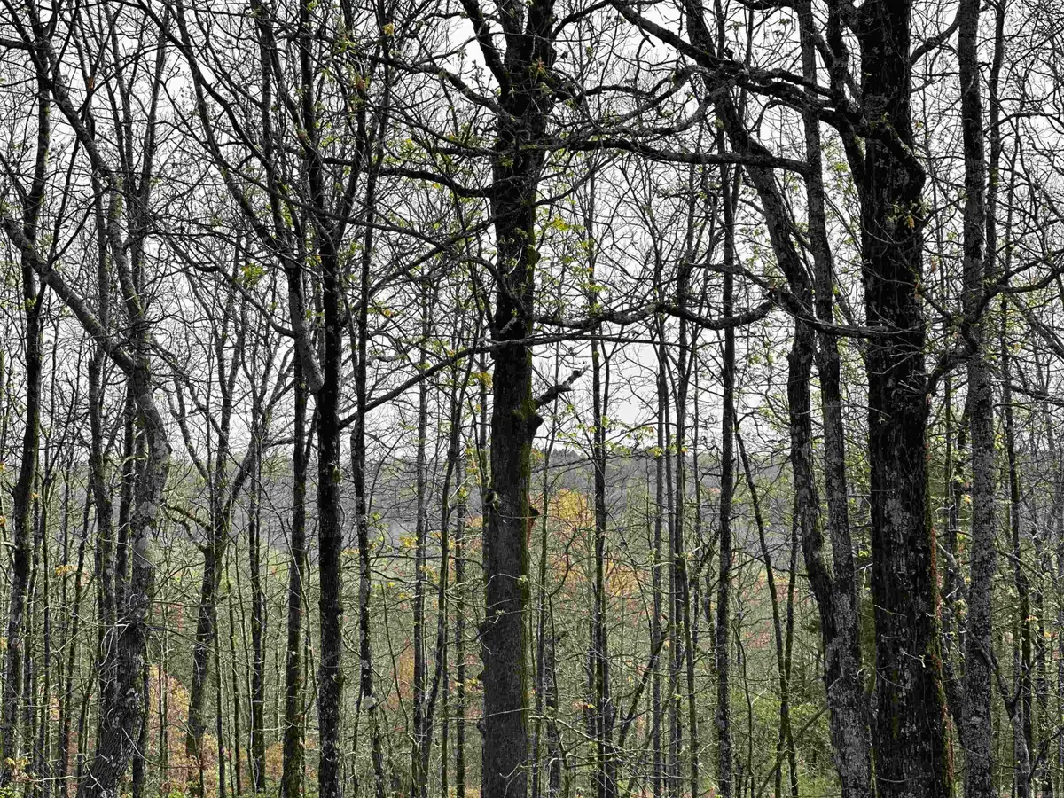 Lot 2 Kenzie Rd/rocky Branch Estates, Beebe, AR 72012 - #1