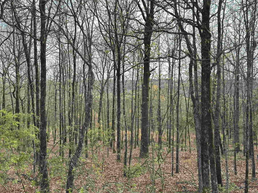 Lot 2 Kenzie Rd/rocky Branch Estates, Beebe, AR 72012 - #3