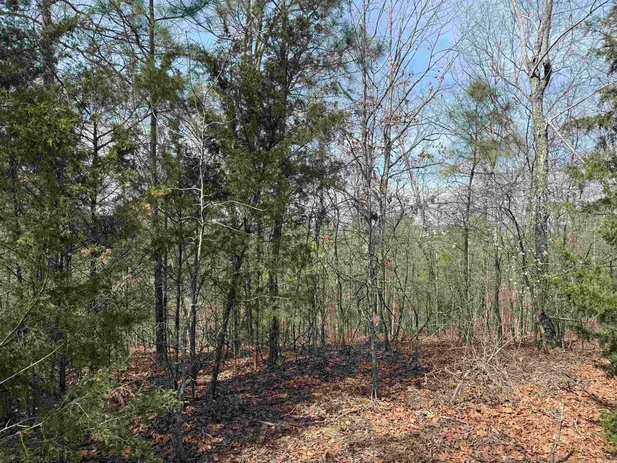 Lot 49 Mustang Drive, Clinton, AR 72031 - #1
