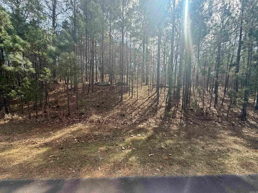 Lot 49 Mustang Drive, Clinton, AR 72031 - #2