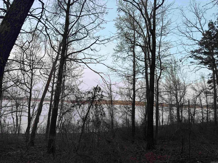 525 E Shore Drive, Drasco, AR 72530 - #3