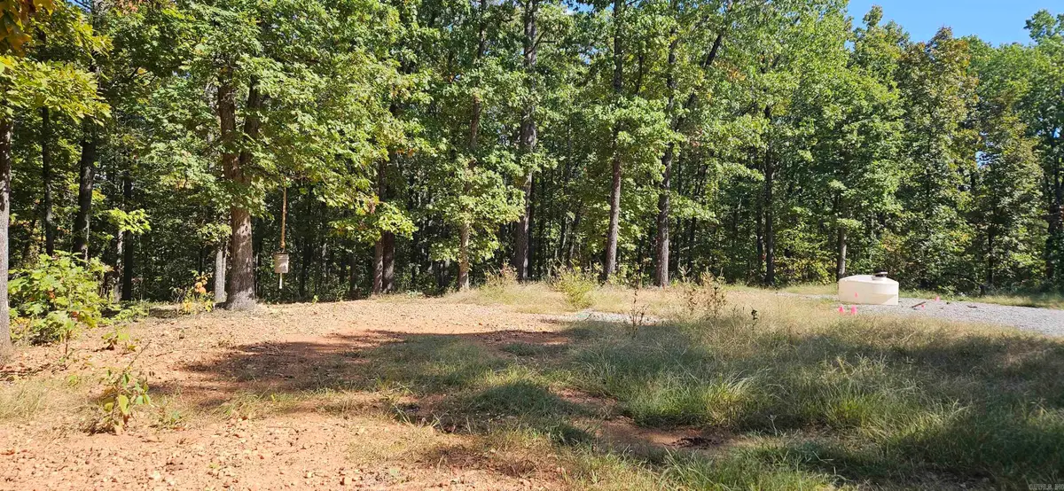 229 Elmbrook Lane, Yellville, AR 72687 - #1