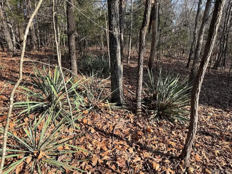 Pecks Drive N, Bergman, AR 72615 - #2