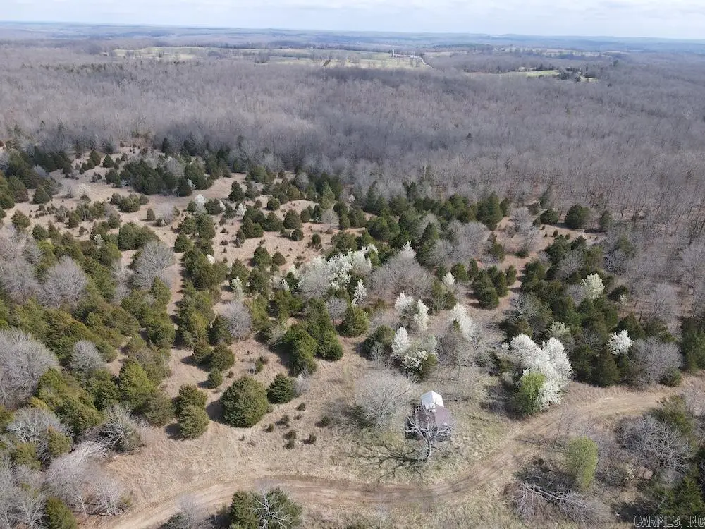 Red Bud Road, Sturkie, AR 72578 - #1