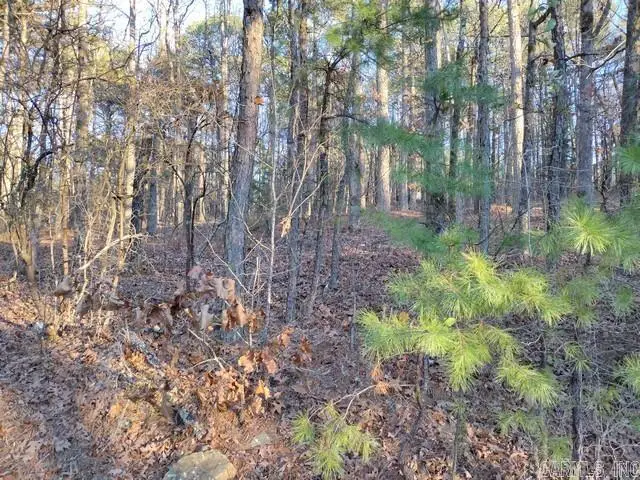 57 & 59 Murcia Way, Hot Springs Village, AR 71909 - #3